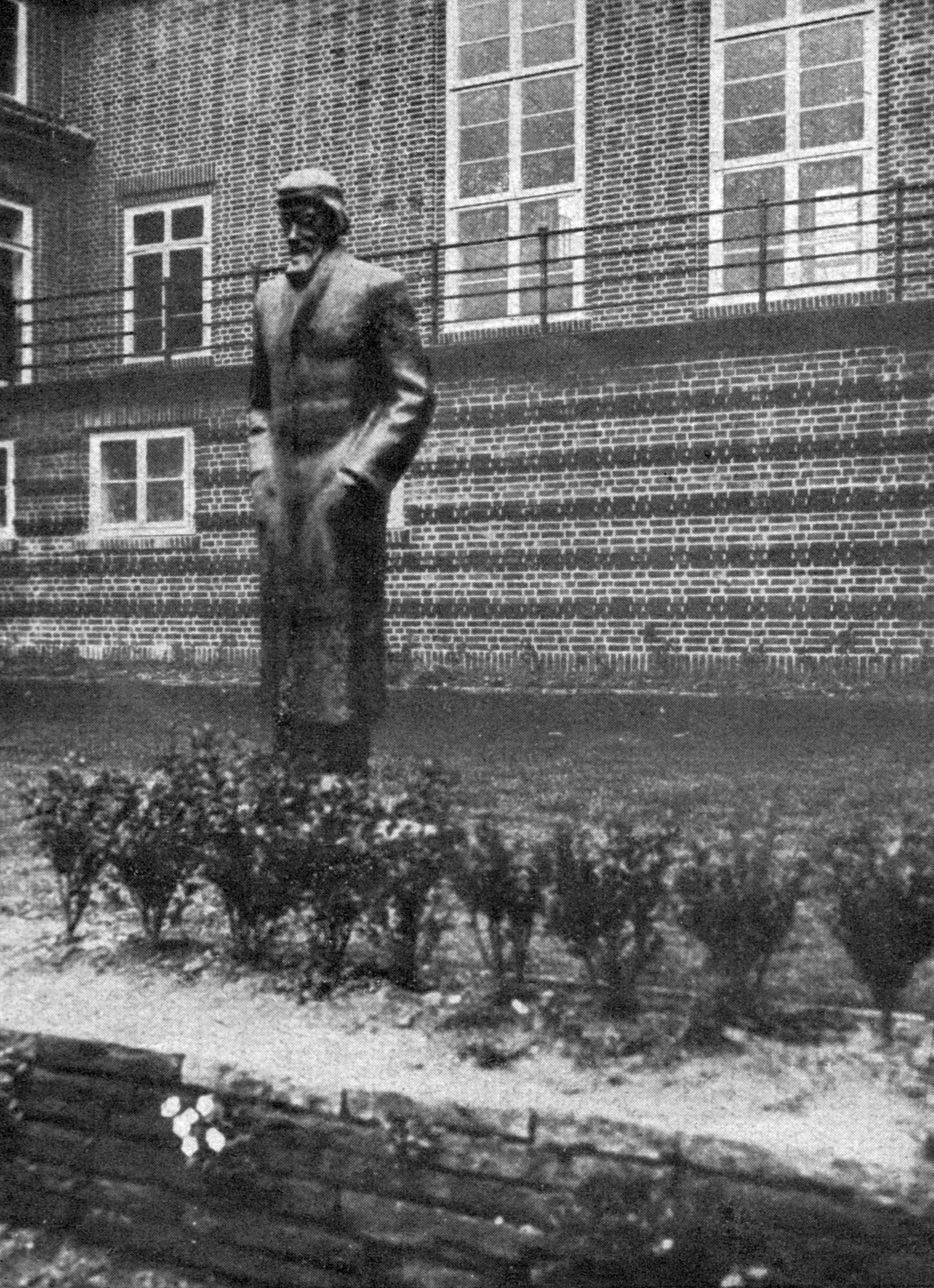 Wilhelm-Raabe-Denkmal